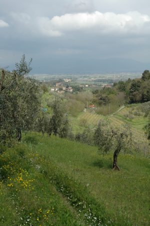 Carmignano_A004