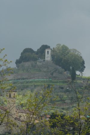 Carmignano_A006