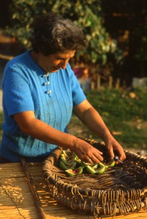 fichi_apertura con coltello in esterno_518x768