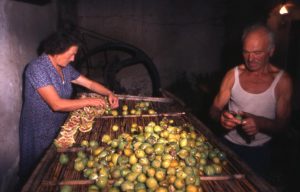 fichi_apertura in interno_1024x655