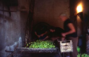 fichi_lavorazioni in interno mosso_1024x655