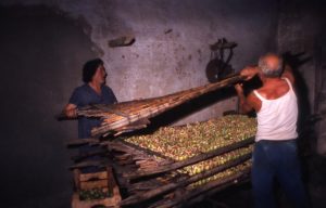 fichi_spostamento tavole in interno_1024x655