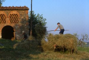 lavoro_il covone vicino al fienile_1024x693