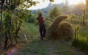 lavoro_il riporto affaldamento nel campo_1024x640