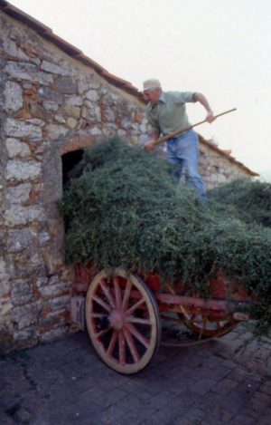 lavoro_il riporto al fienile_491x768