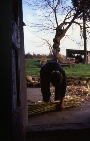 lavoro_preparazione dello steccato2_491x768