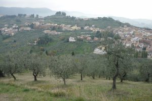 carmignano dal podere 1024x682