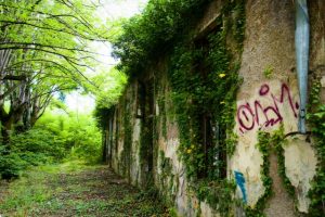 Francesco Galeotti Particolare di un muro